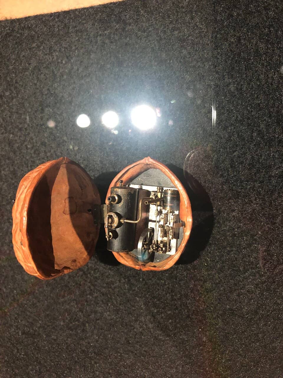 Enchanting Toy Collection