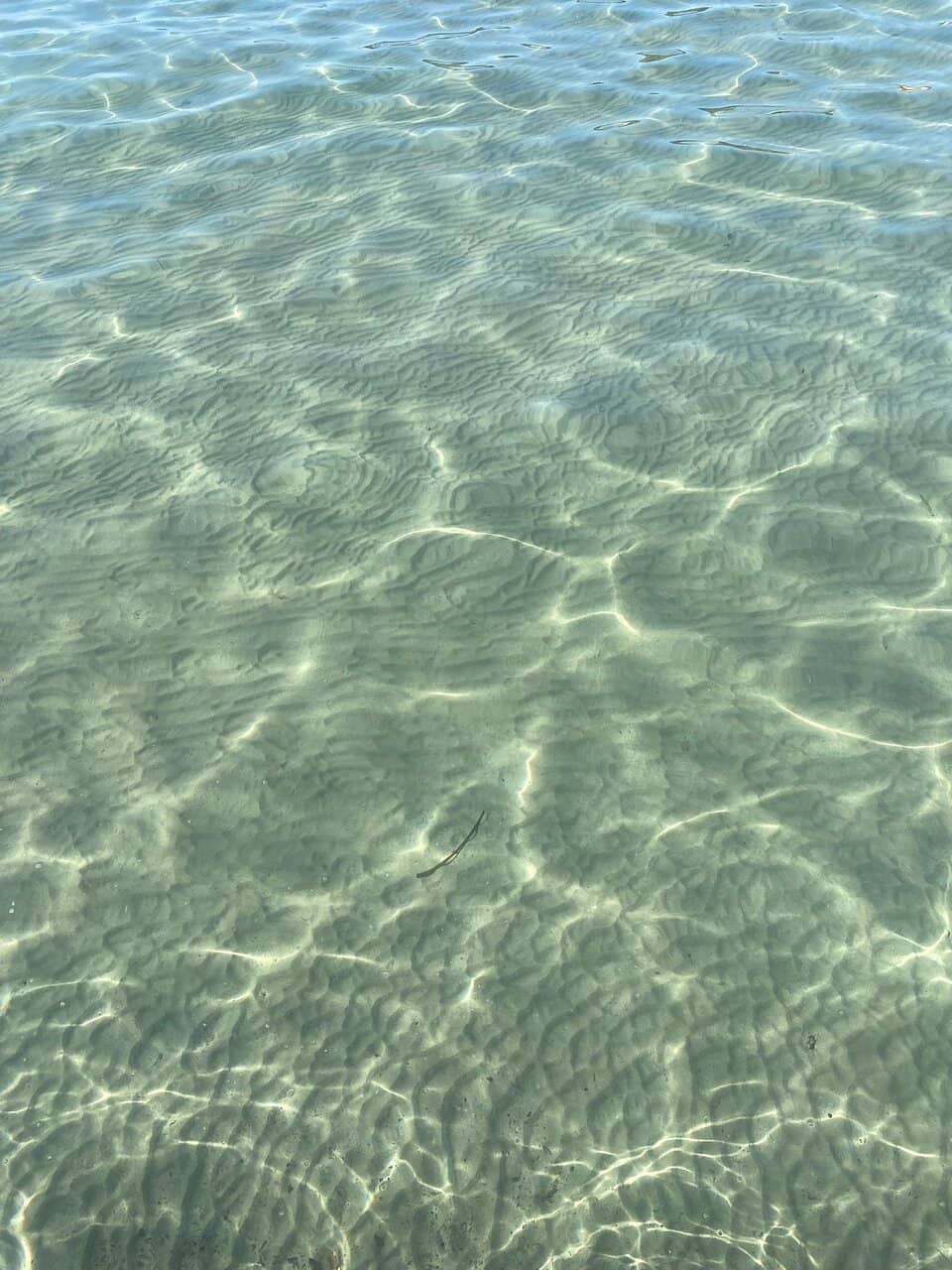 Promenade & Play Area