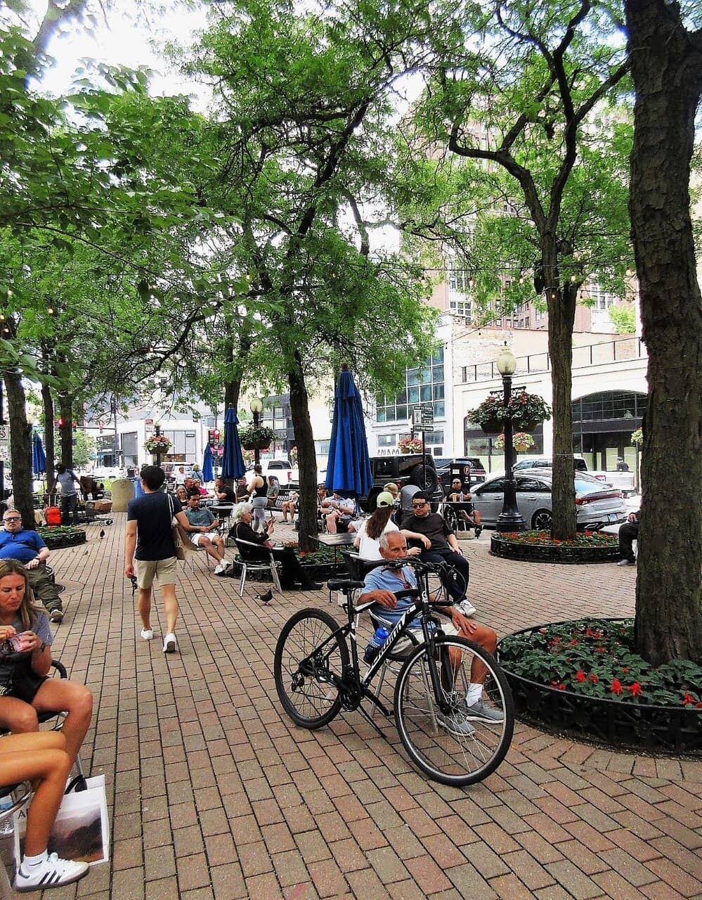 Seasonal Festivities