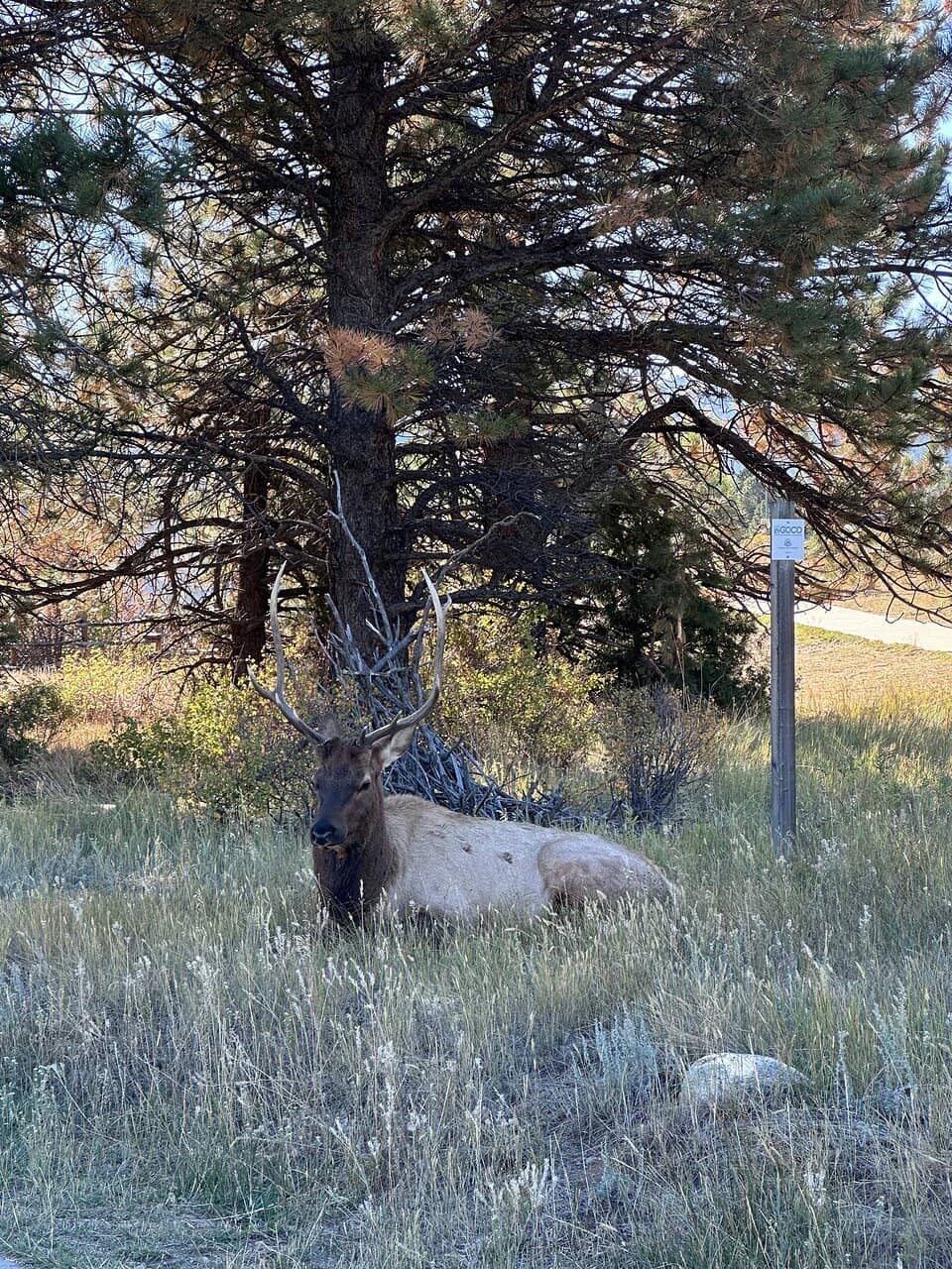 Rocky Mountain National Park Shuttle