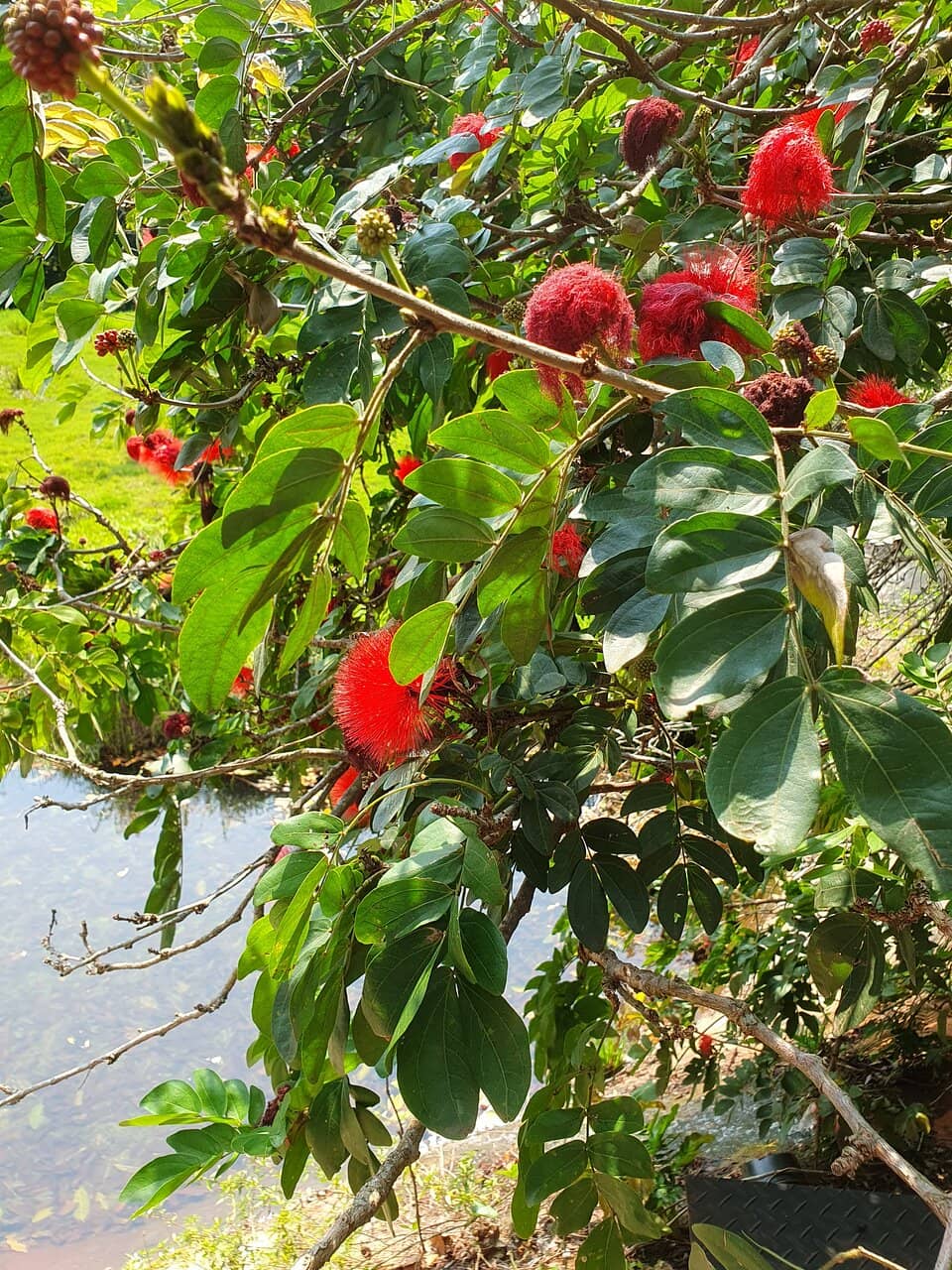 Bird Sanctuary Immersion