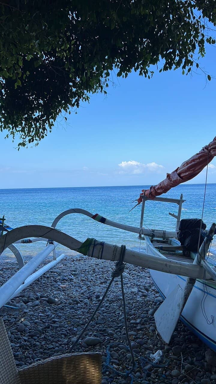 Abundant Marine Life