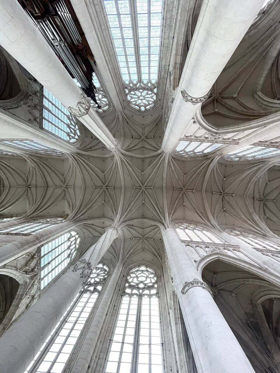 Vertical photo