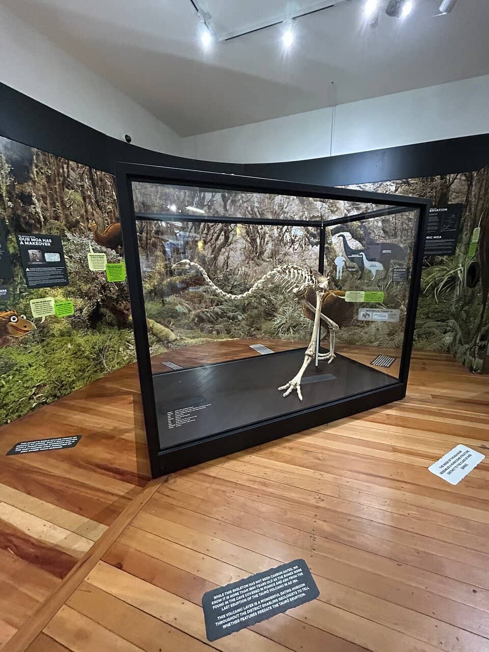 Kiwiana Caravan