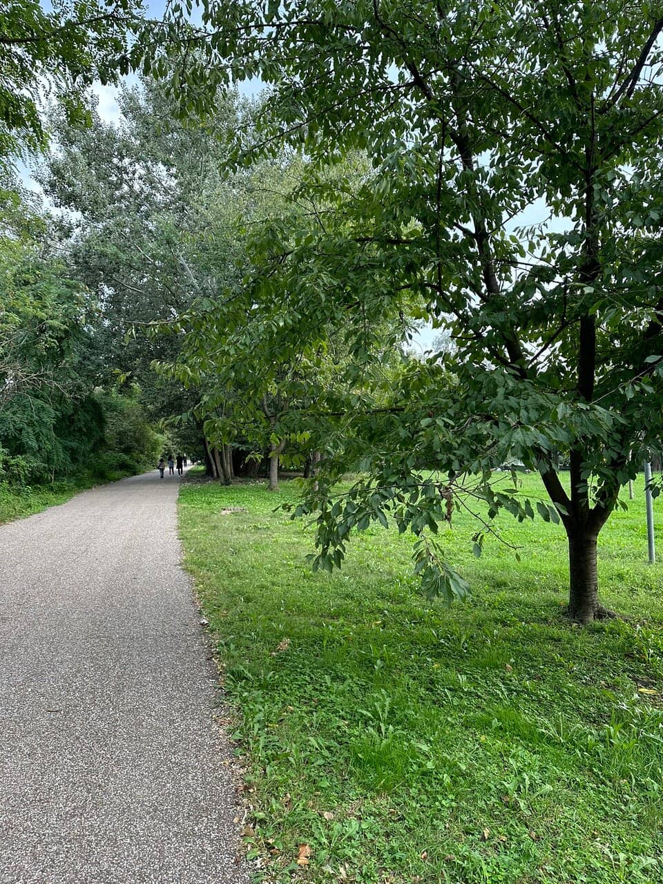 Rooftop Thermal Baths