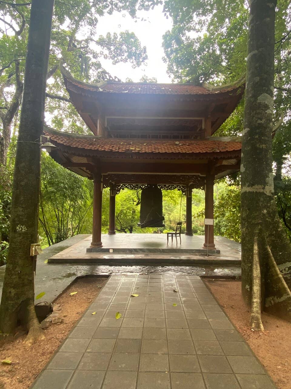Lotus Ponds