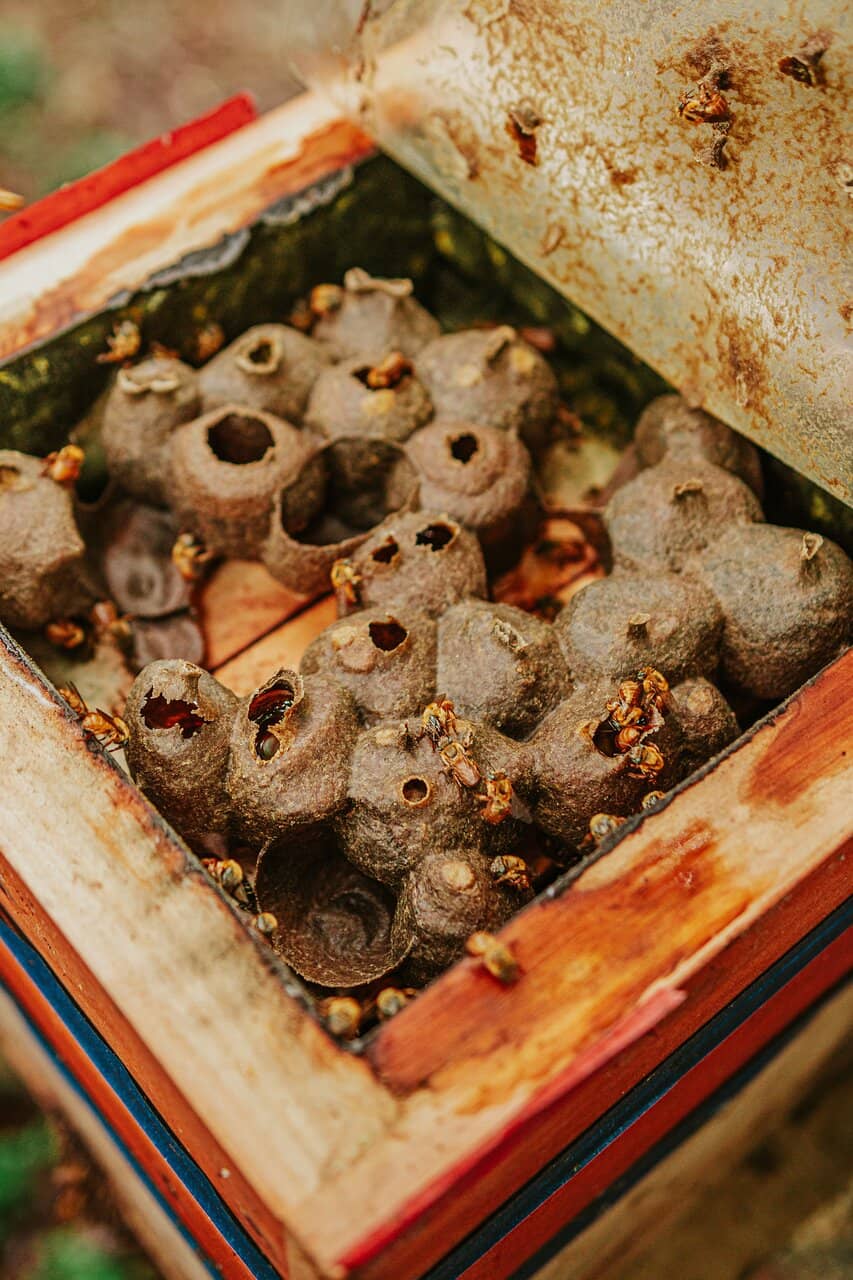 Beautiful Grounds & Gardens