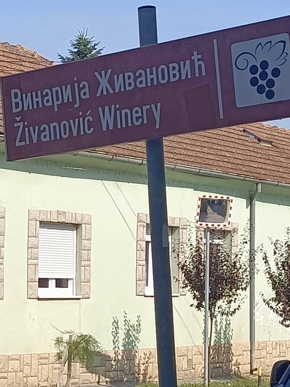 Ancient Wine Cellar