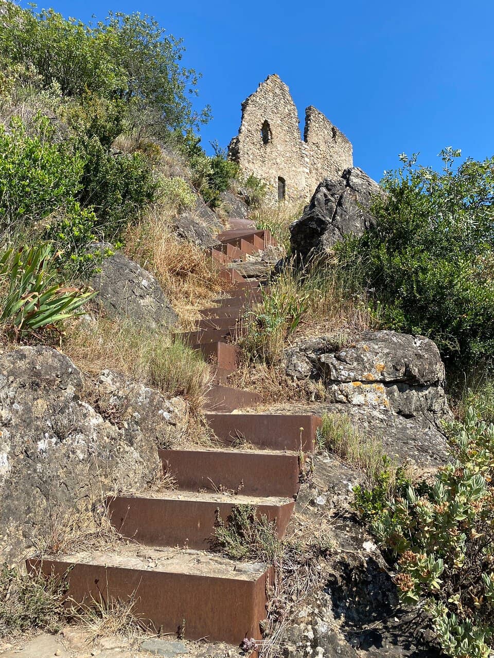 Medieval History Immersion