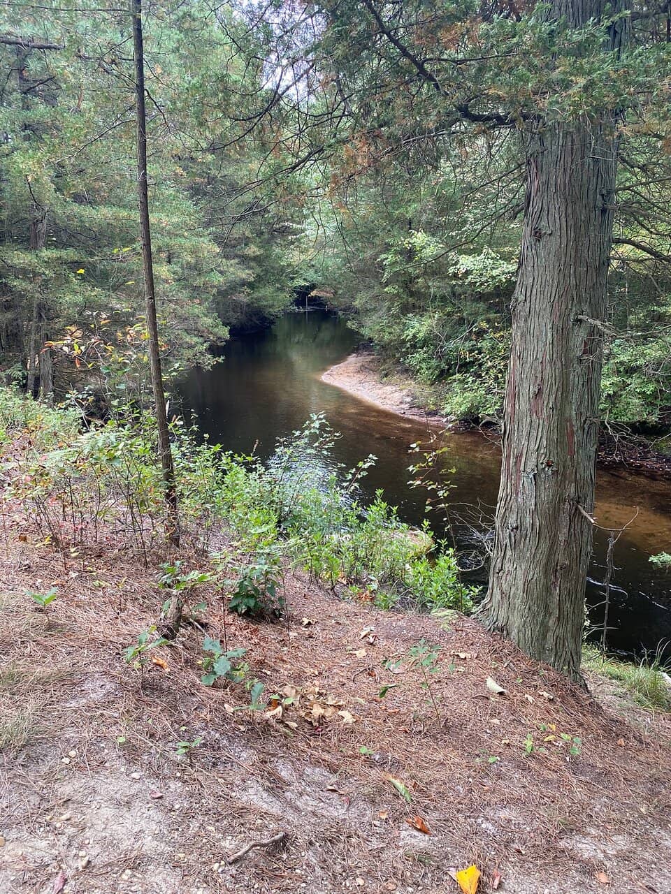 Nature Trails