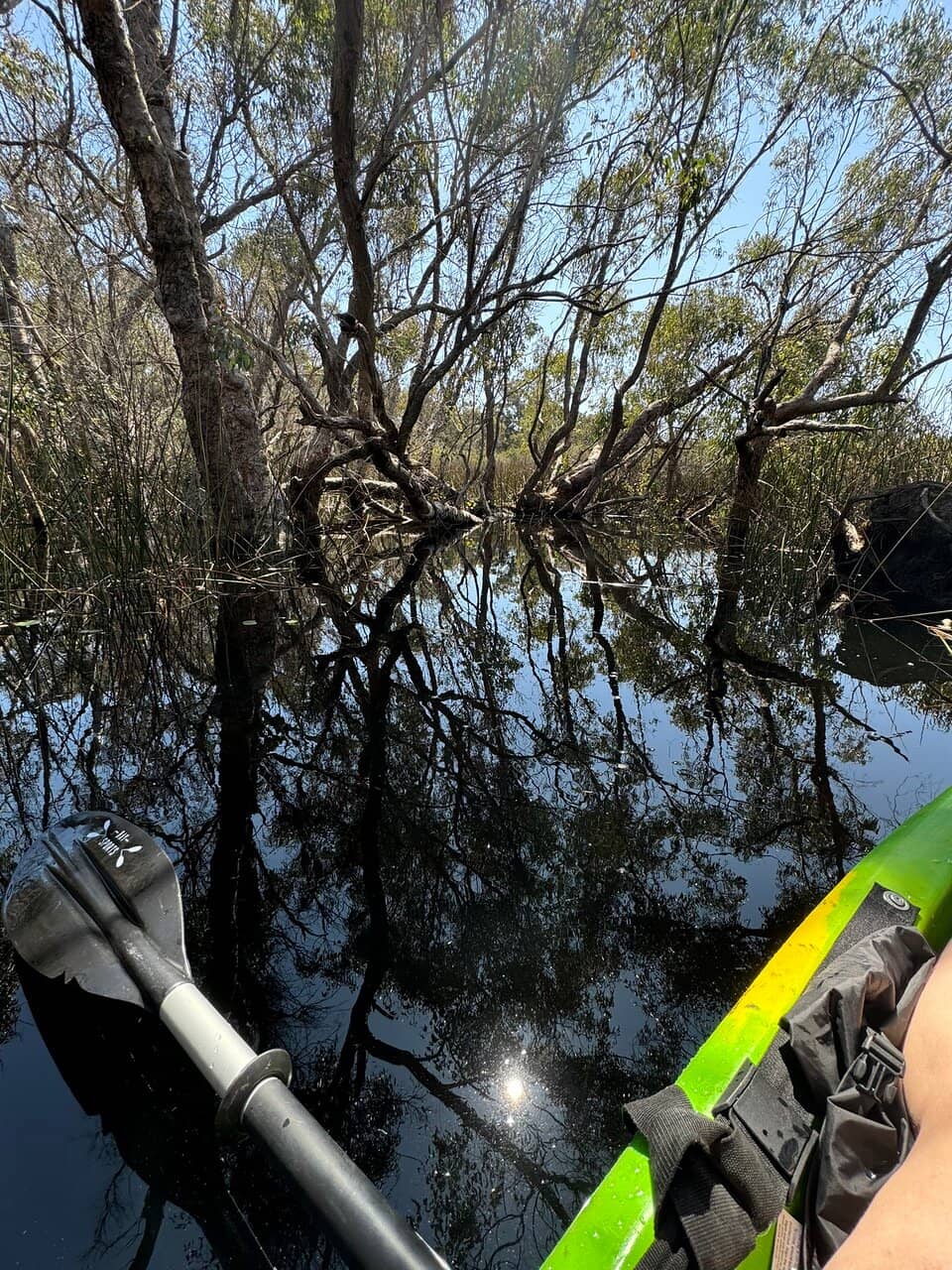Kayaking & Canoeing Adventures