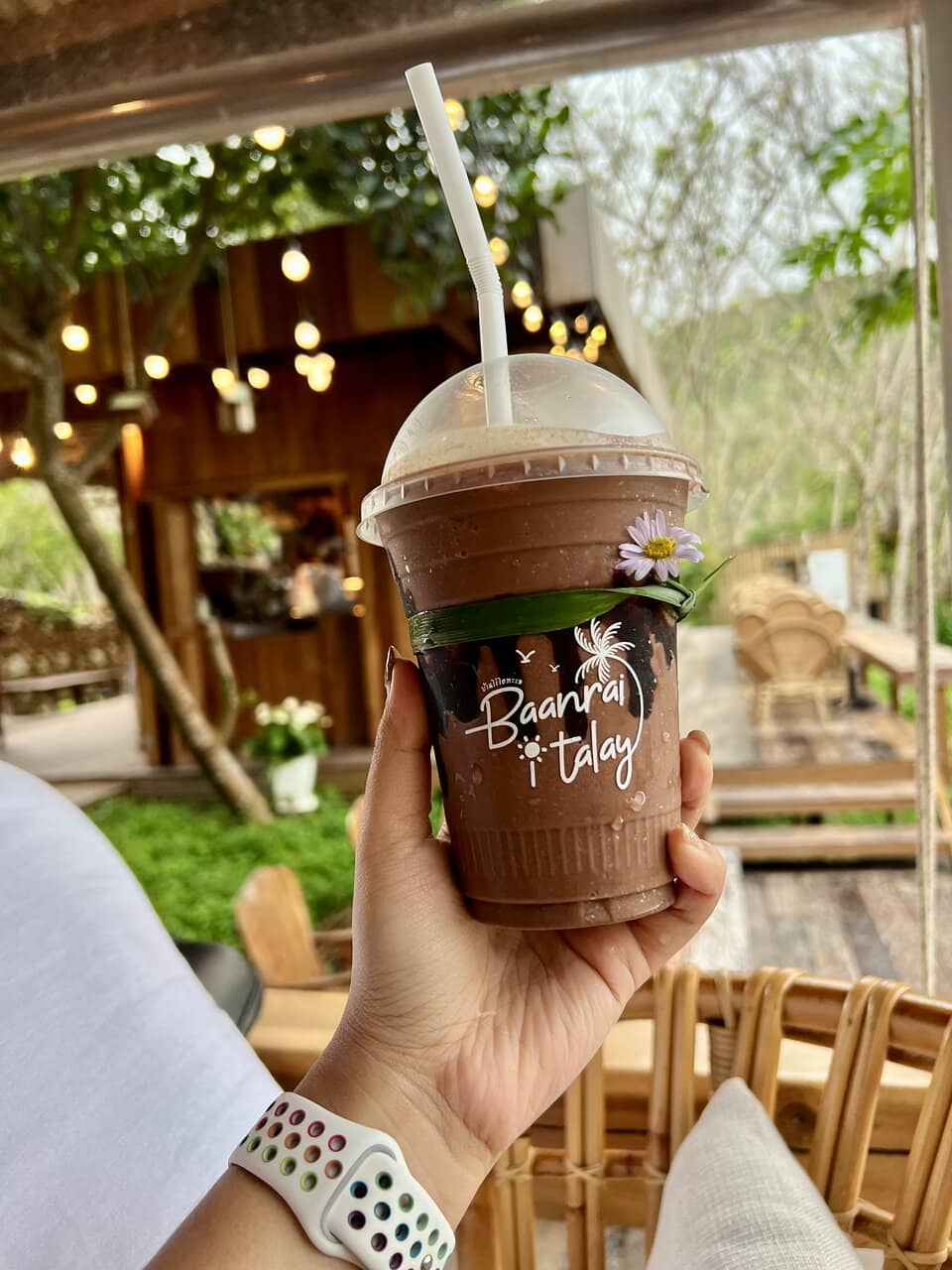 Delectable Thai Cuisine