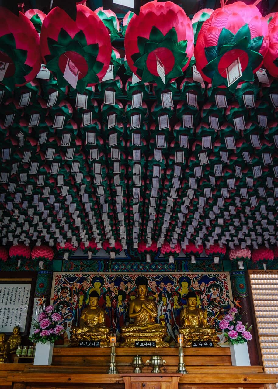 Eunsu-sa Cheongsilbae Tree