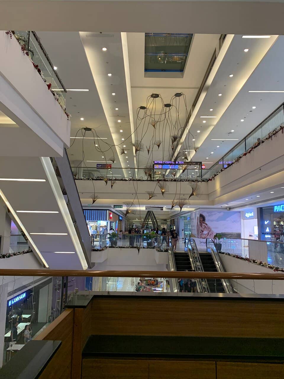 Diverse Culinary Delights