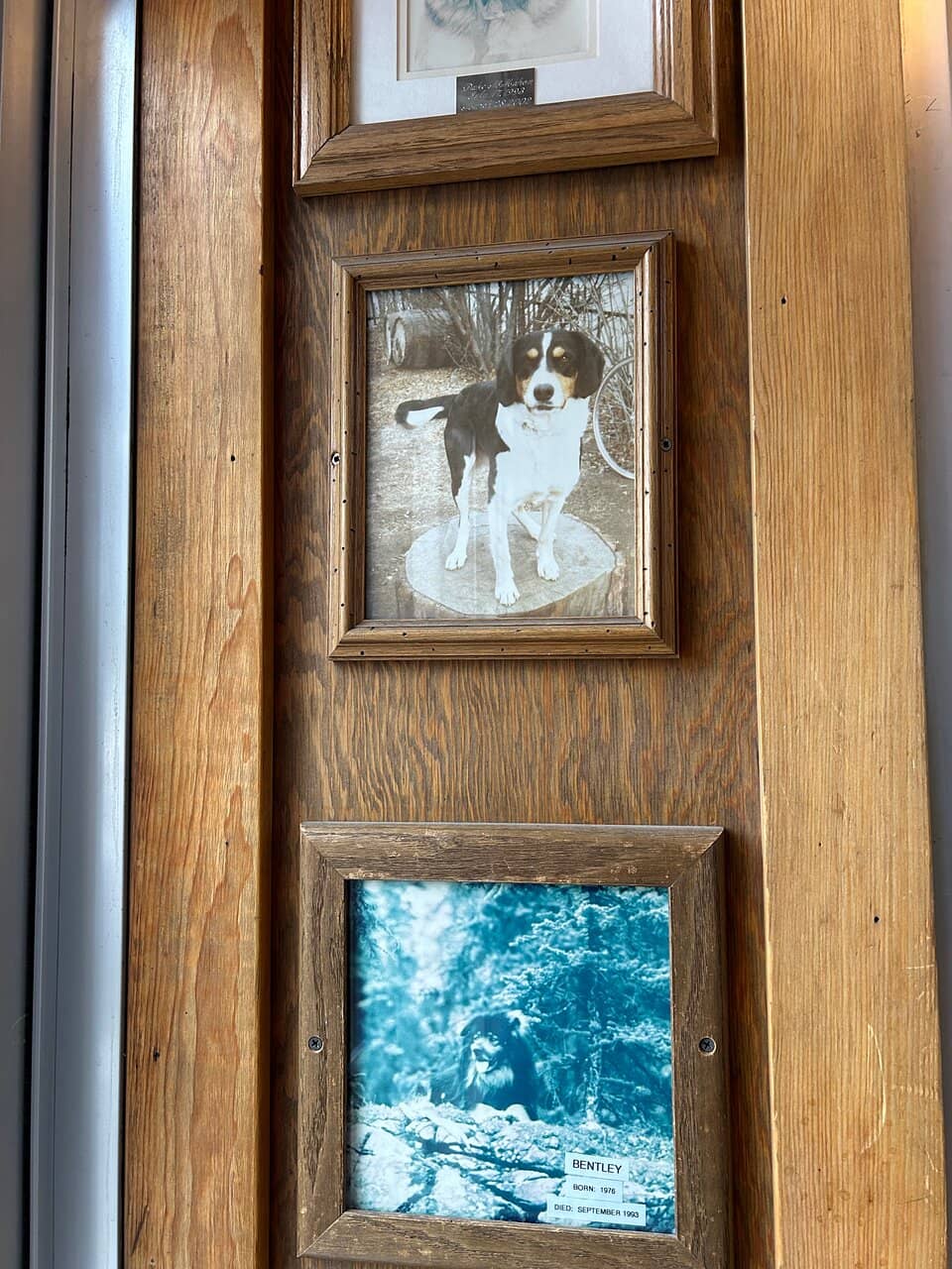 Lively Sports Bar Atmosphere