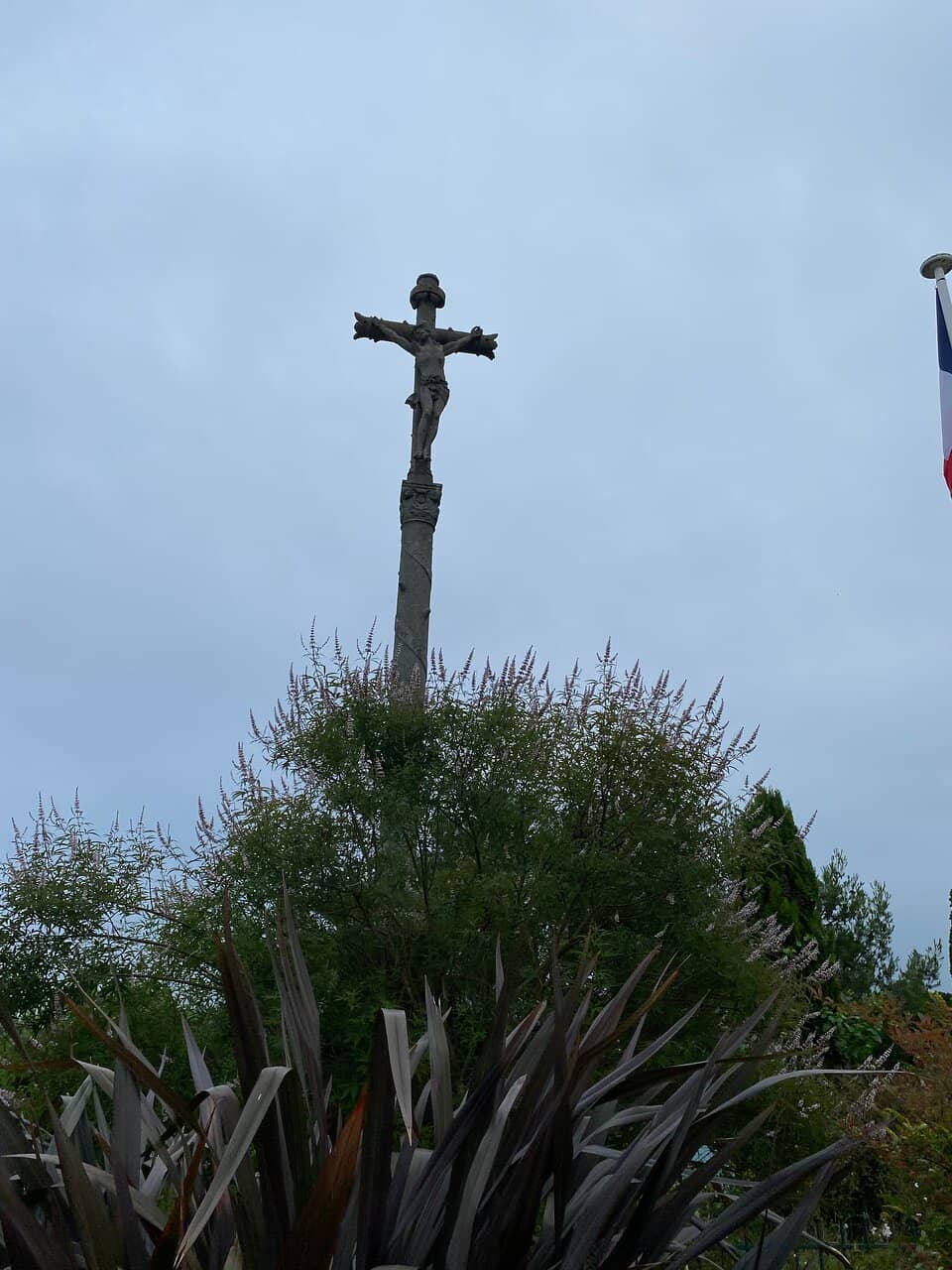 Family-Friendly Low Tide Fun