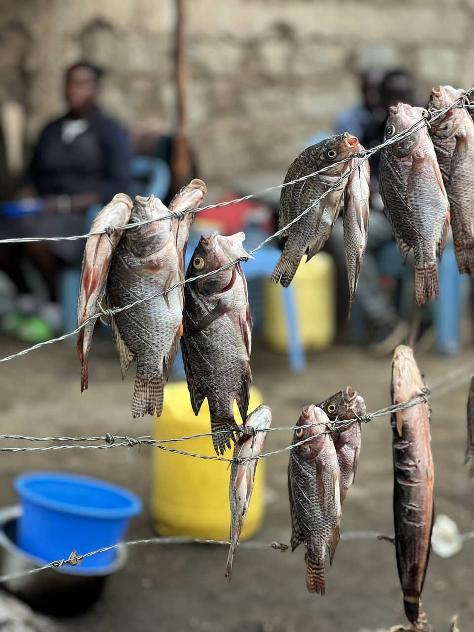 Birdwatcher's Paradise