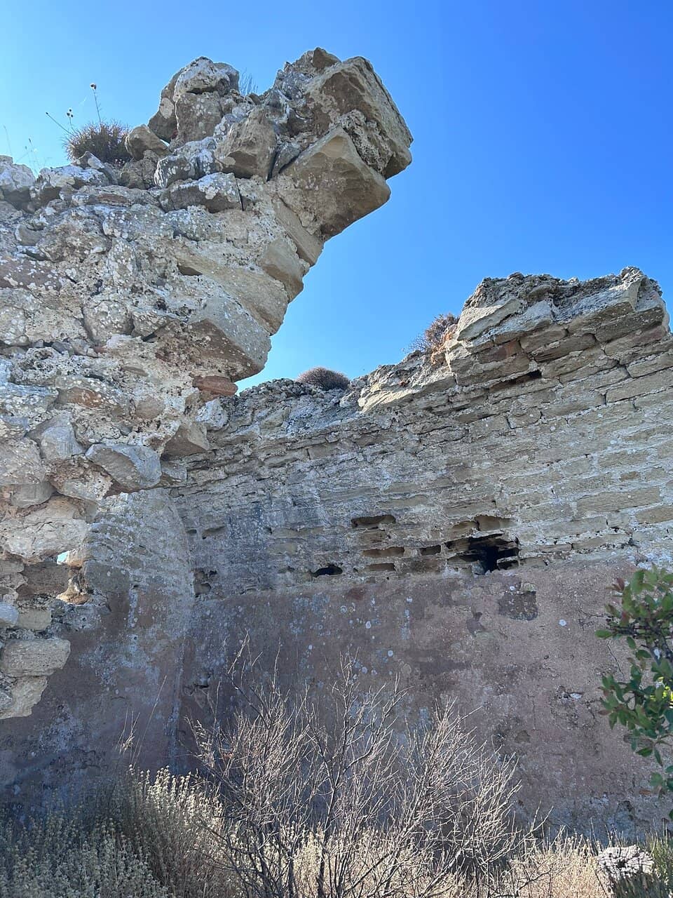 Charming Hilltop Cafe