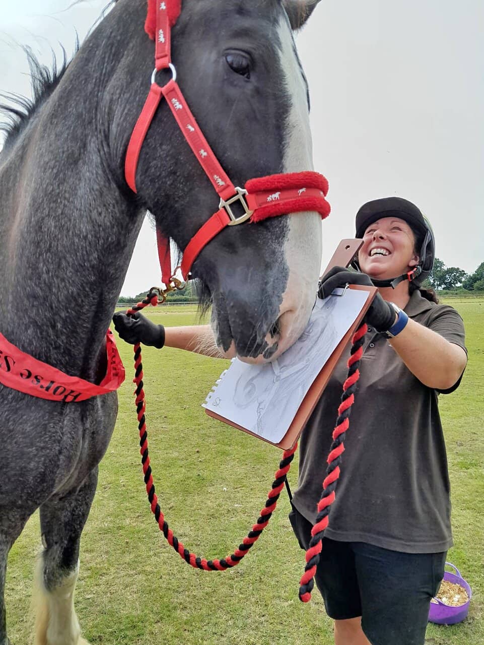 Sampson the Shetland
