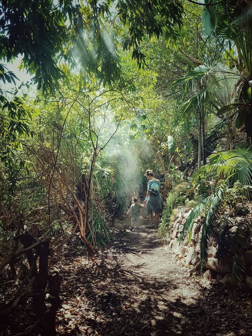 Desert Transformation Story