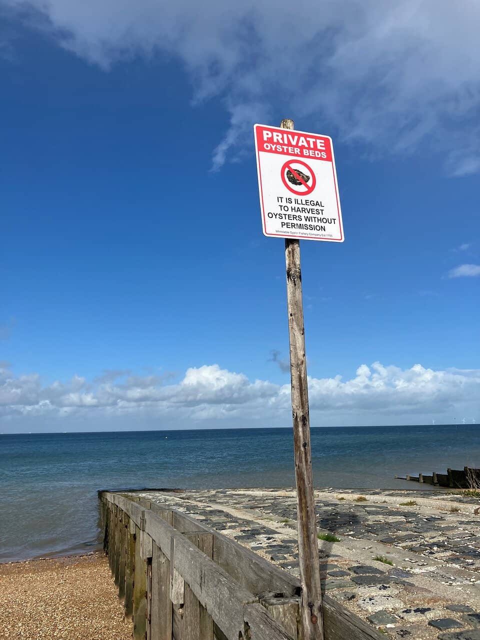 Oyster Shell & Stone Collecting