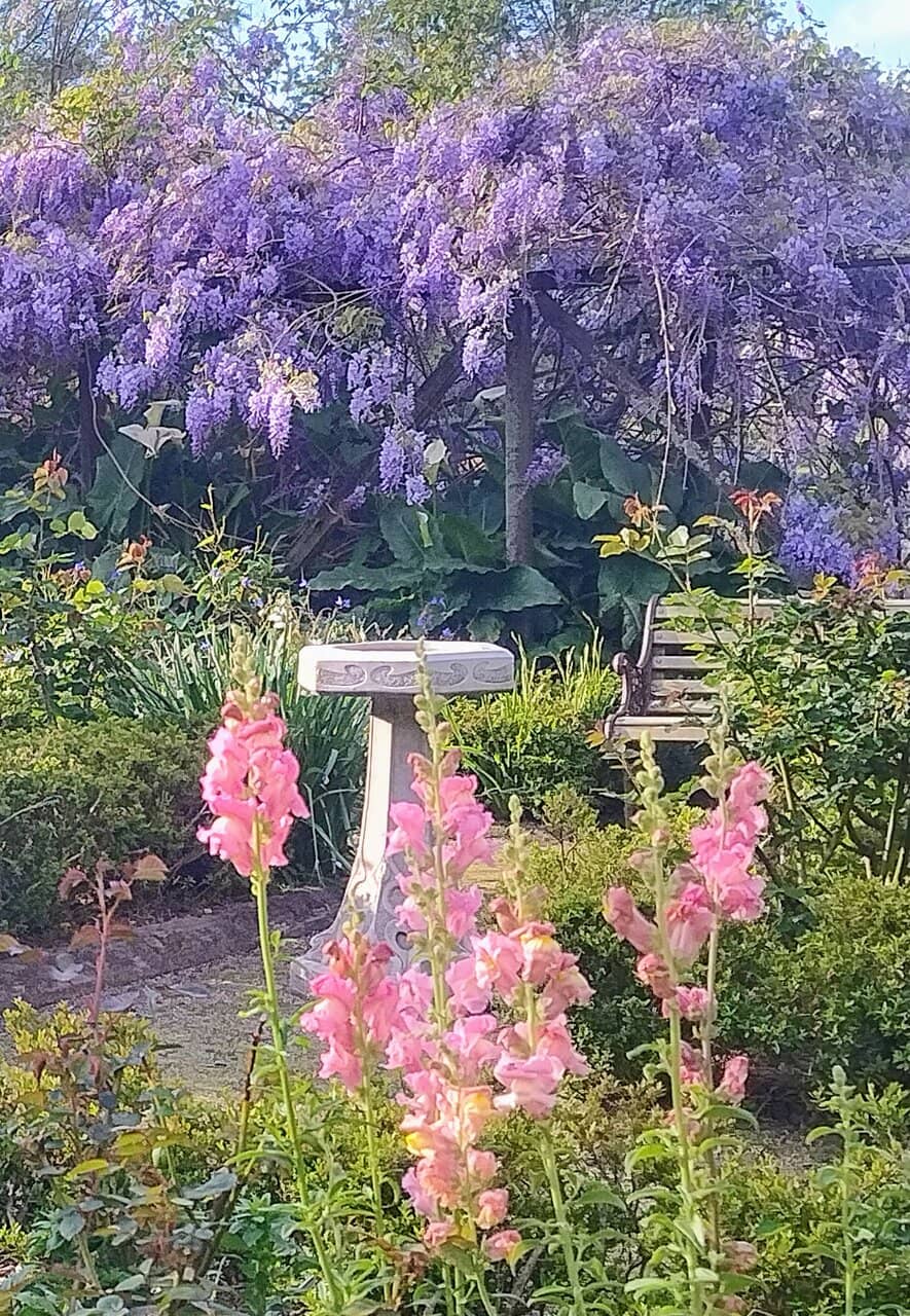 Lush Landscaped Gardens