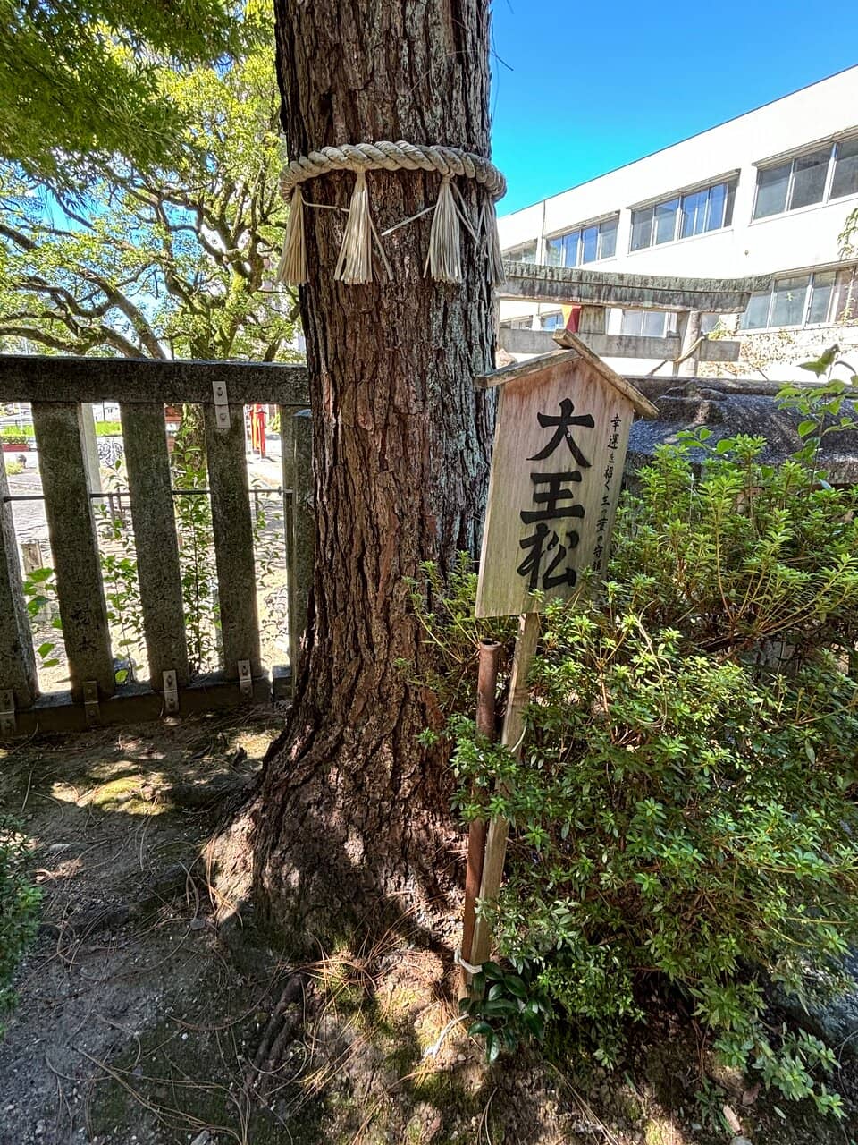 Parent-Child Three-Shrine Pilgrimage