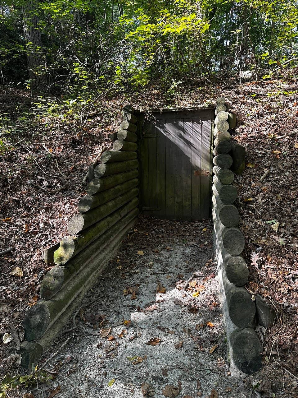 The 'Dictator' Cannon