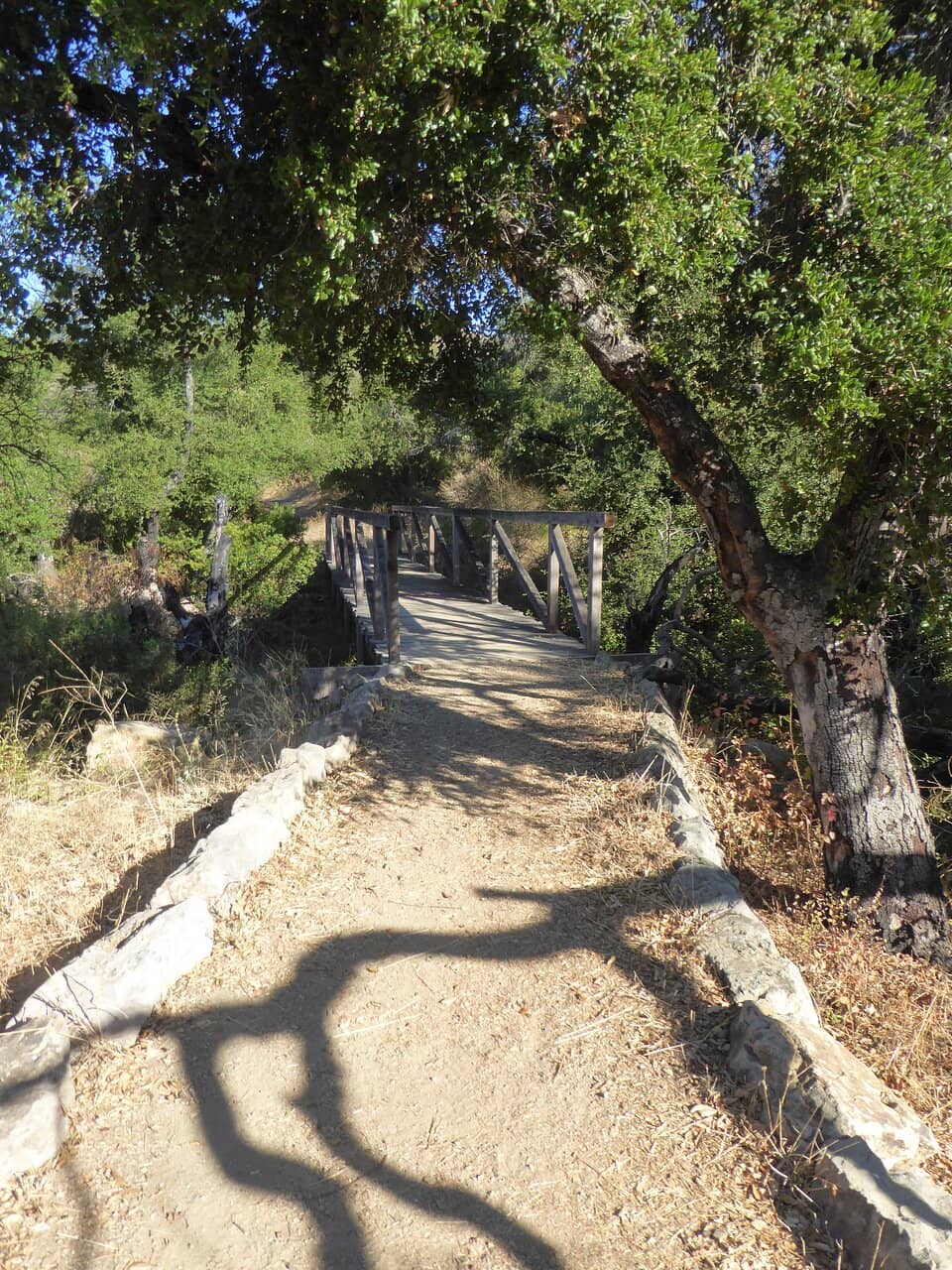 Pacific Ocean Vistas