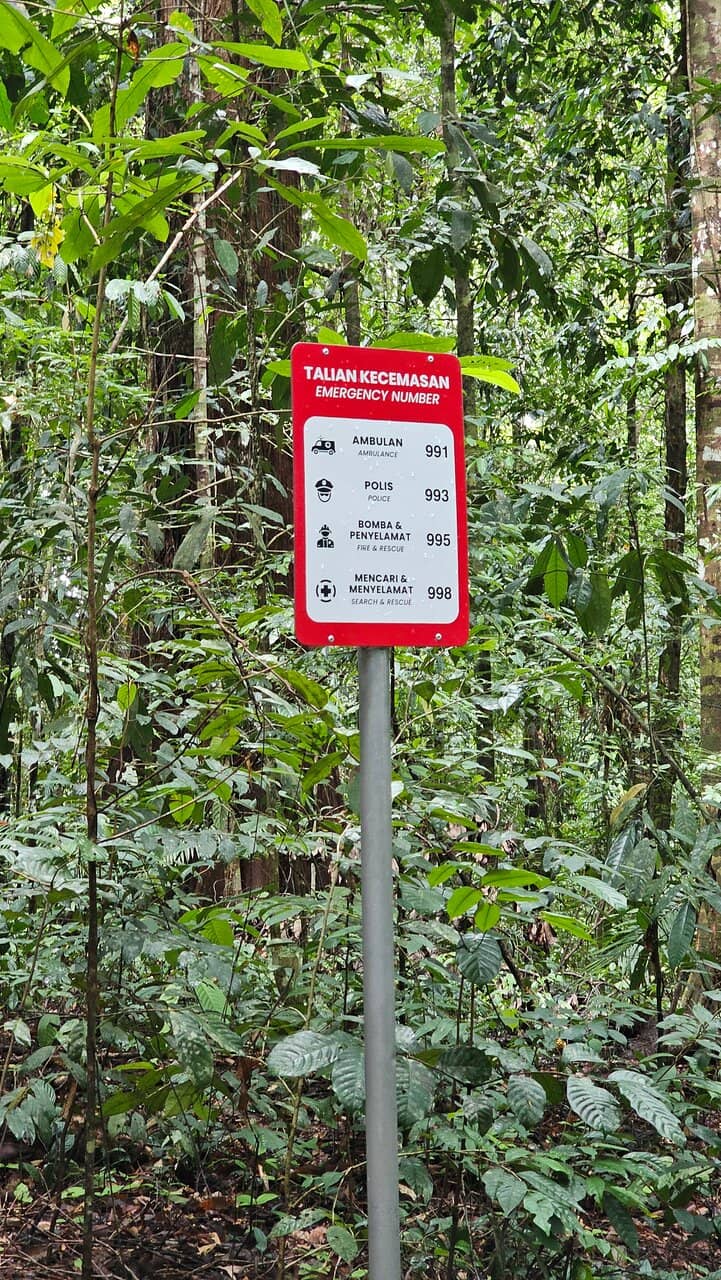 New Restaurant & Facilities