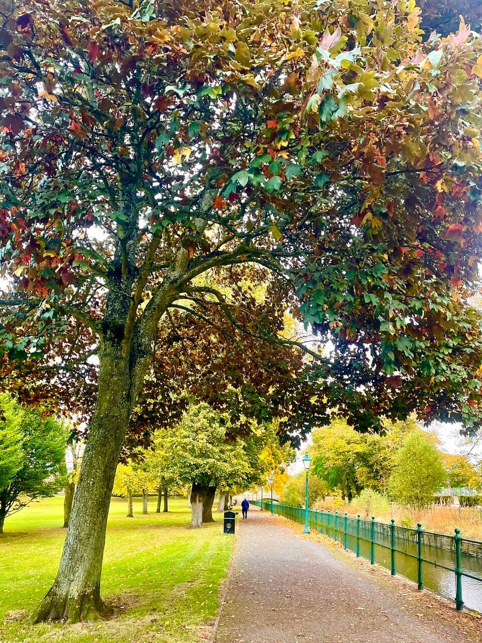 Bandstand Performances