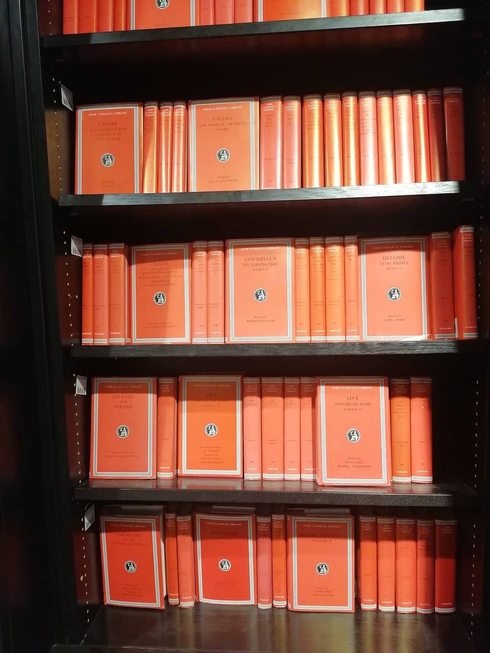 Charming Interior Ambiance