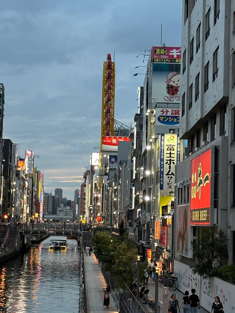 Dotonbori Skyline at Sunset