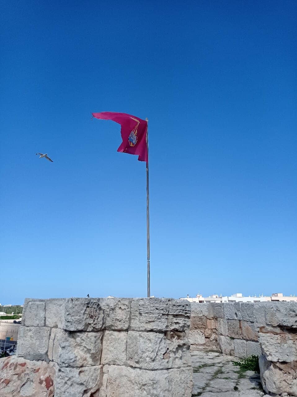 Vertical photo