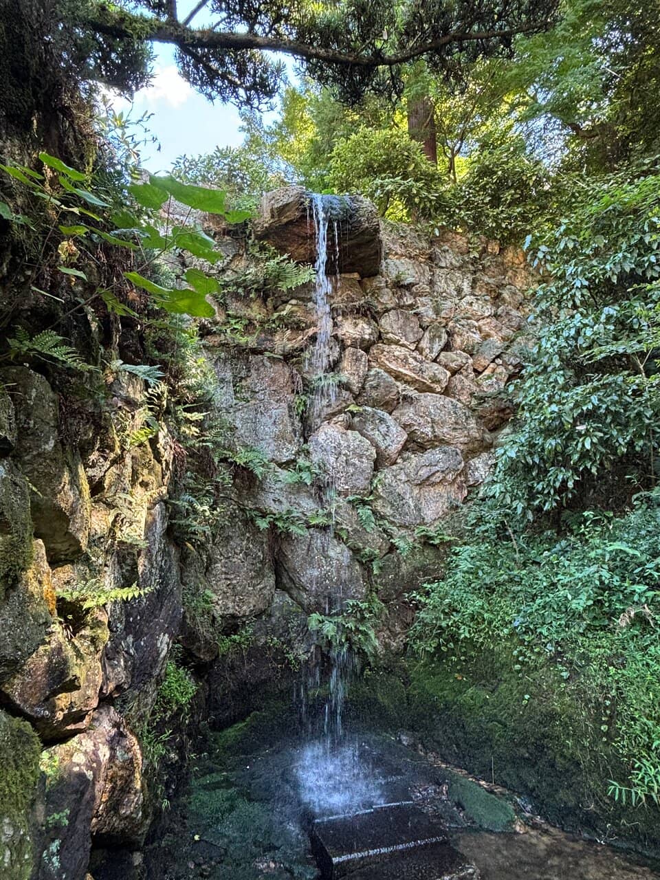 Panoramic City Views