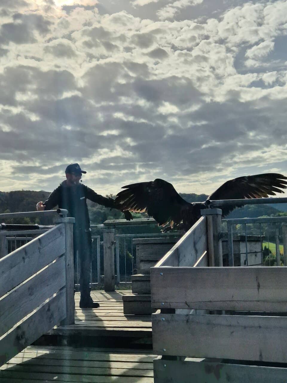 Humorous and Informative Guides