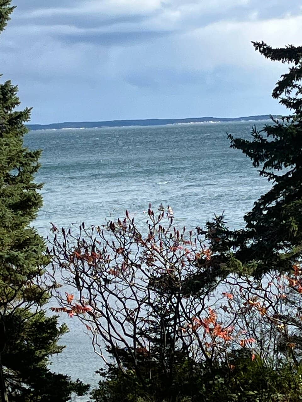Rocky Beach Serenity