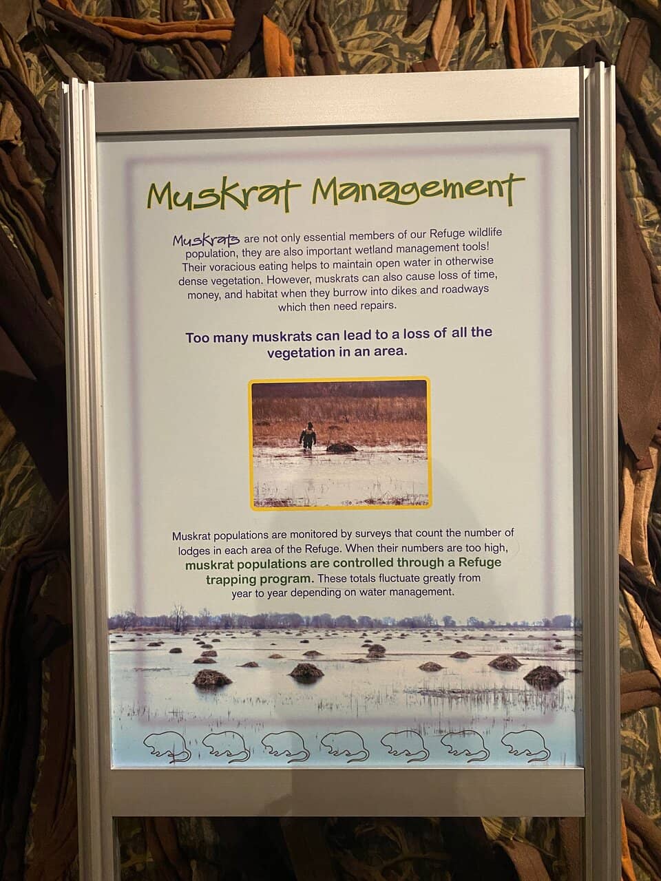 Visitor Center Observation Decks