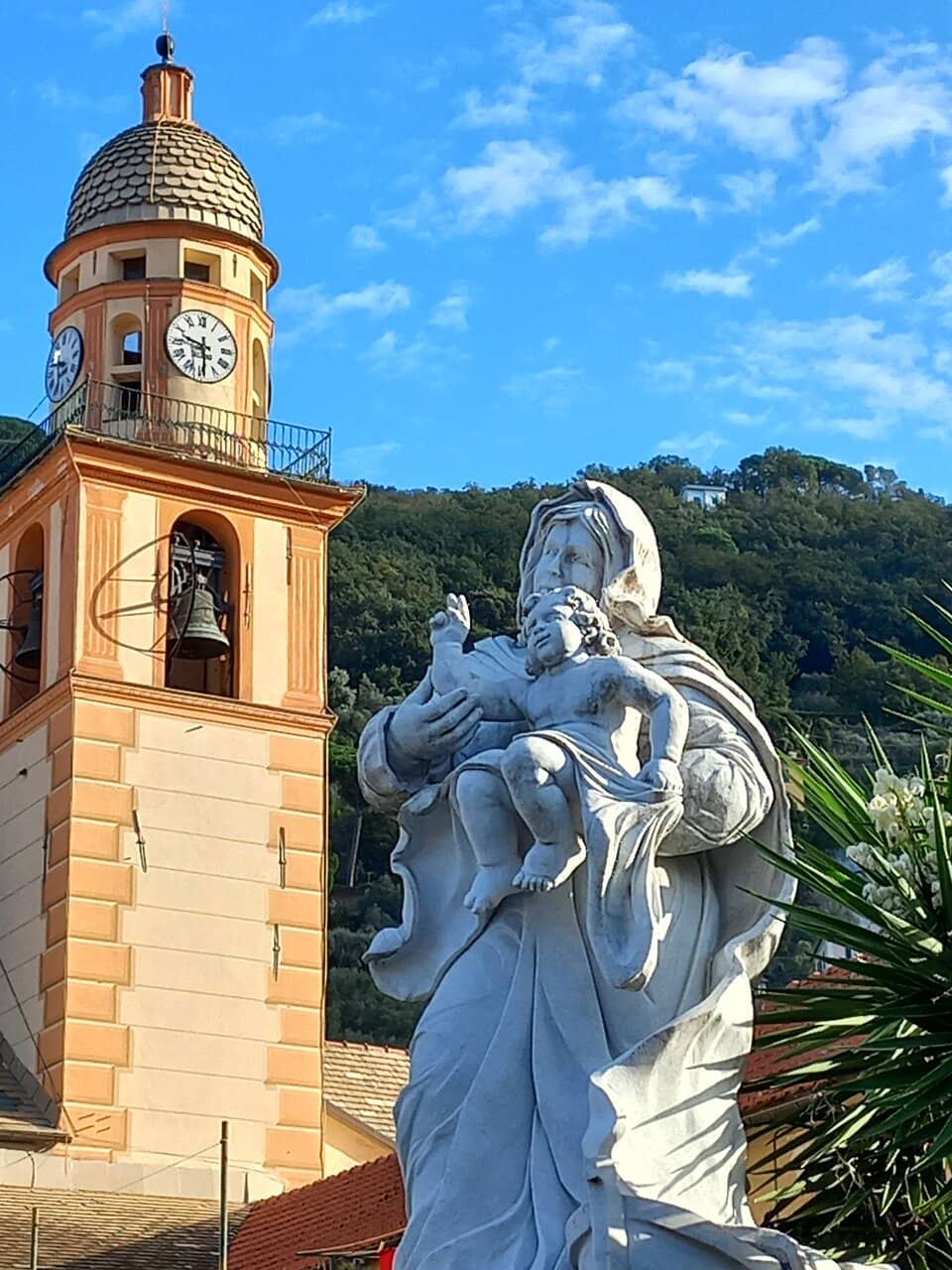 Vertical photo