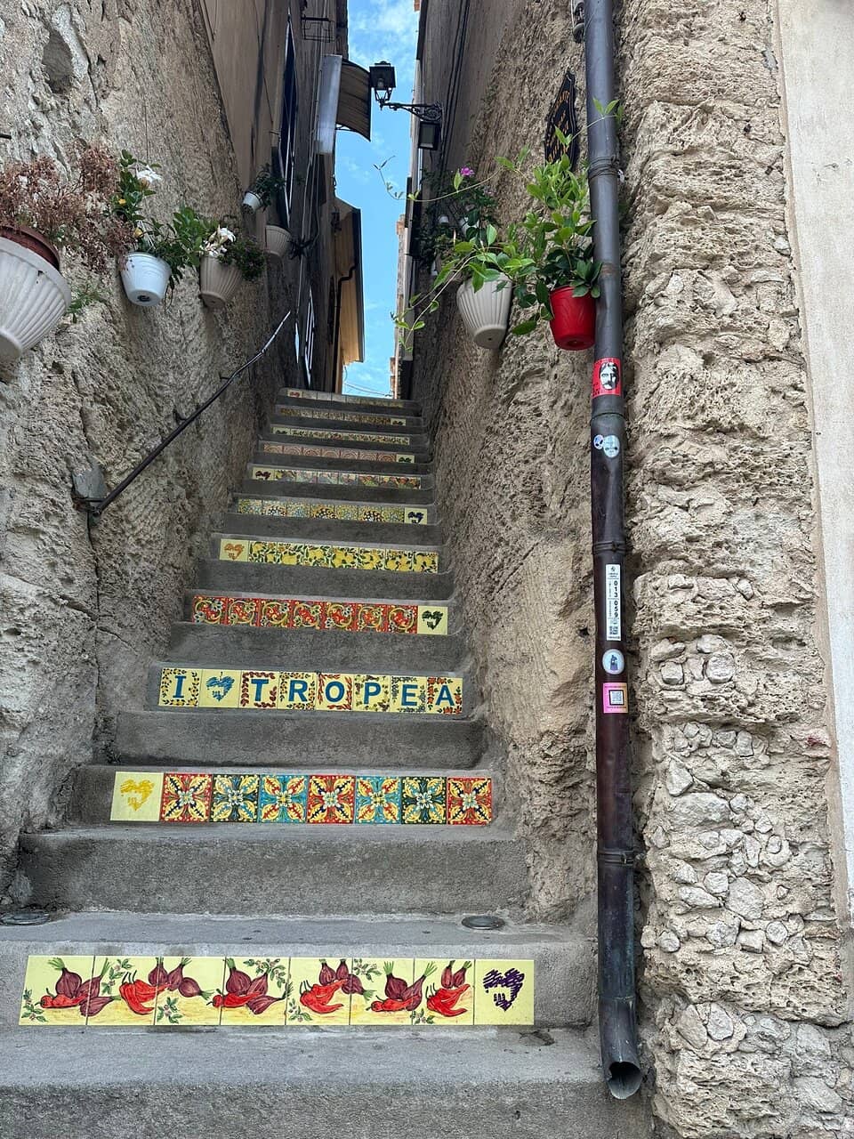 Vertical photo