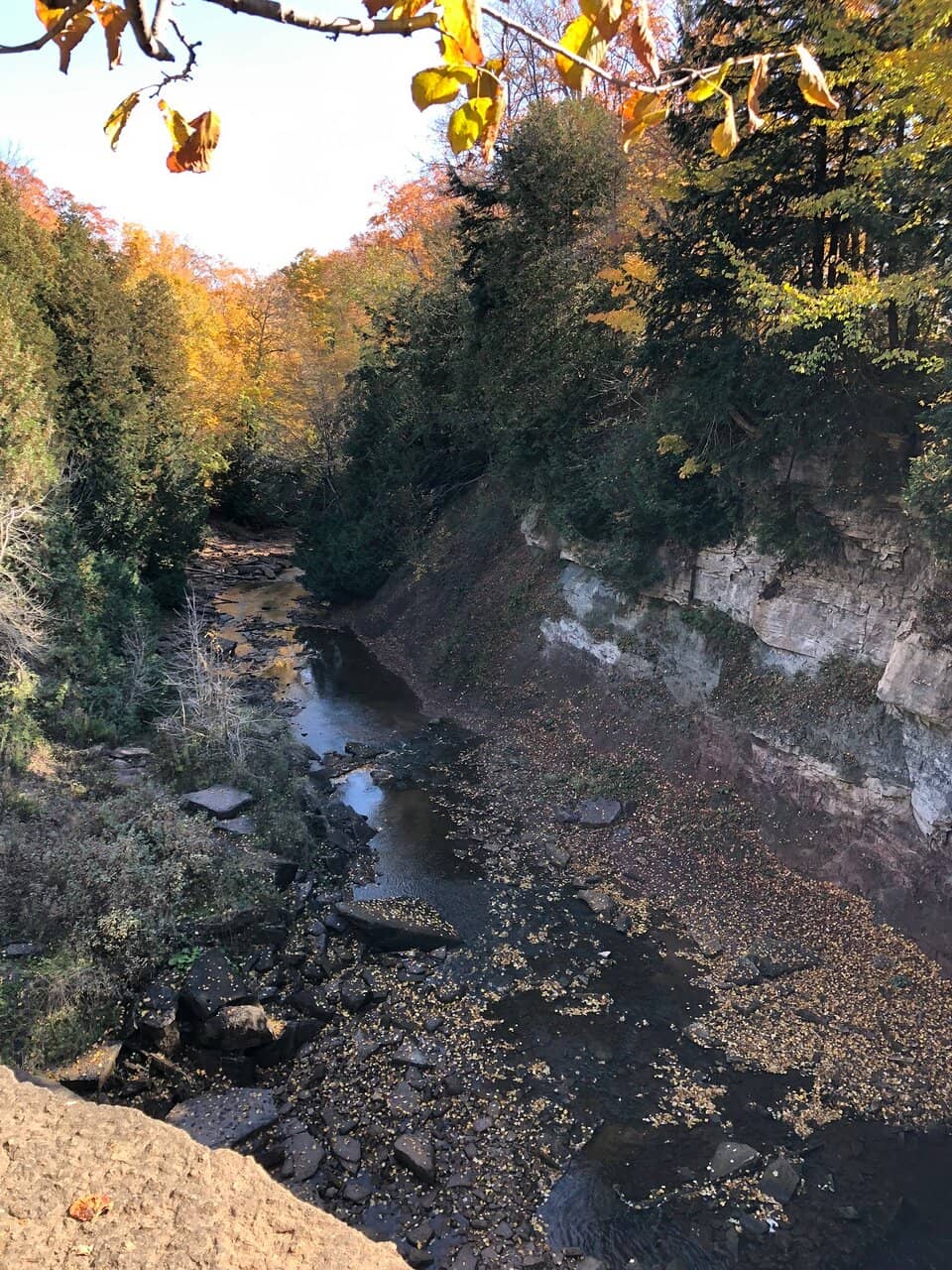 Creek-Side Trail Adventure