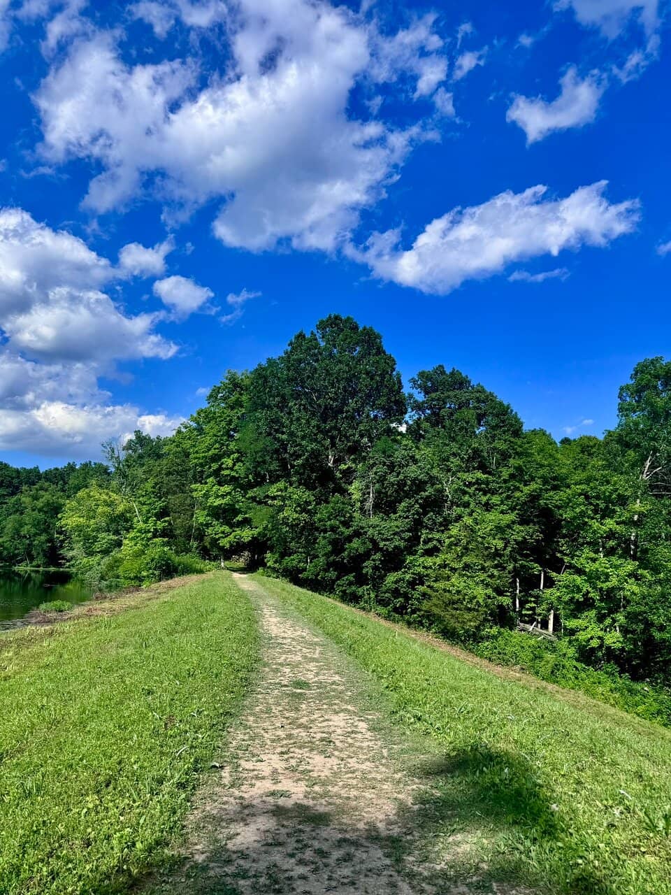 Accessible Trails