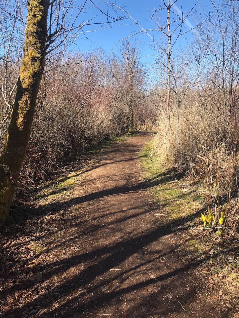 Water Trail Under I-90
