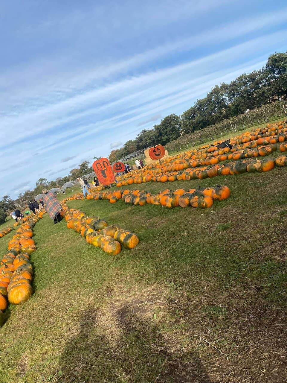 Kids' Outdoor Play Zone