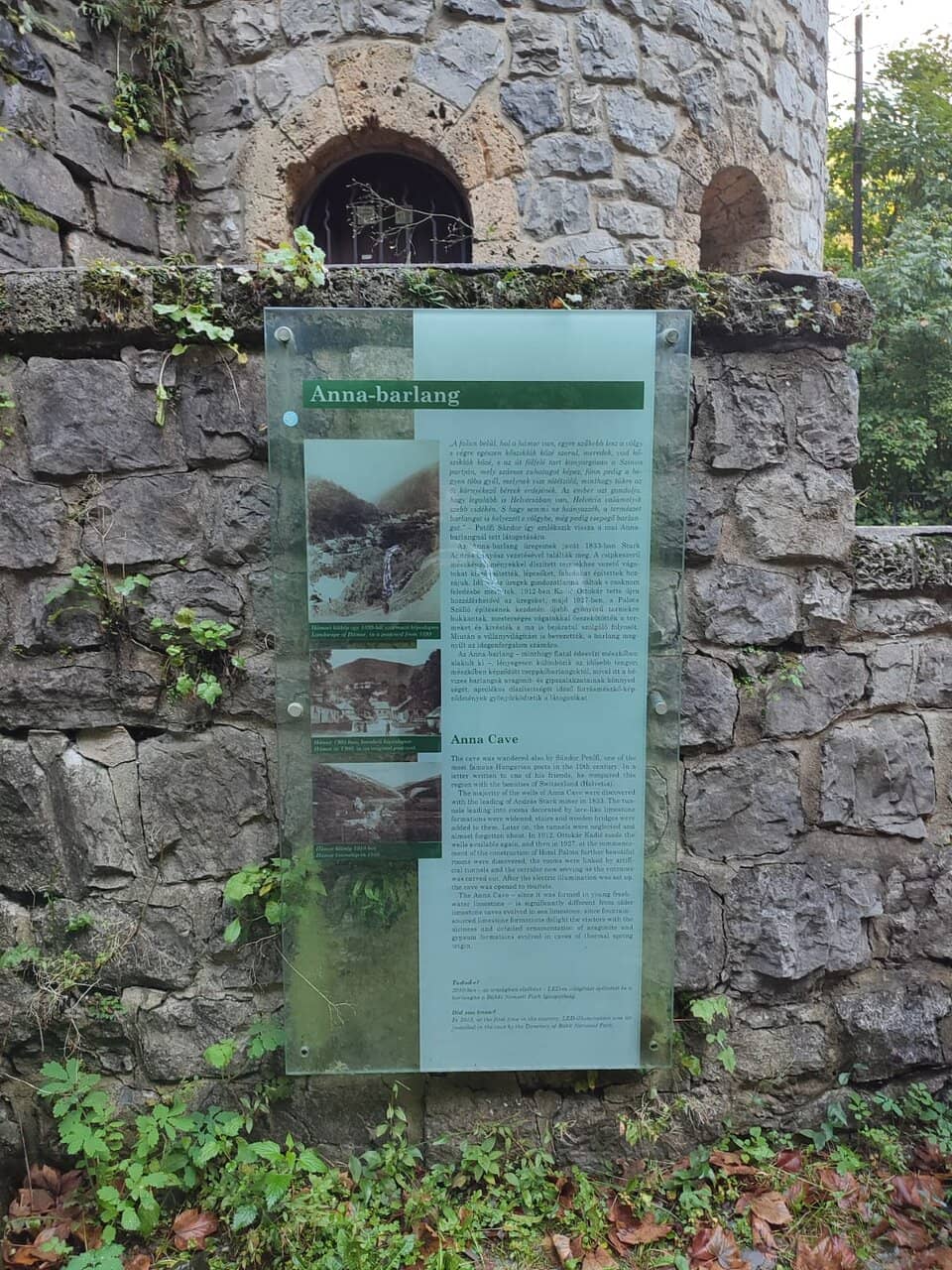 Resident Bats