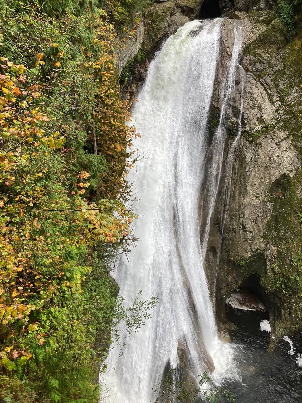 Vertical photo