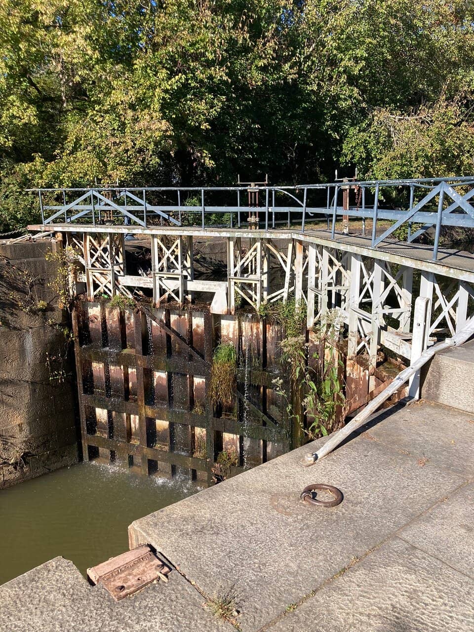 Richmond's Great Shiplock Park