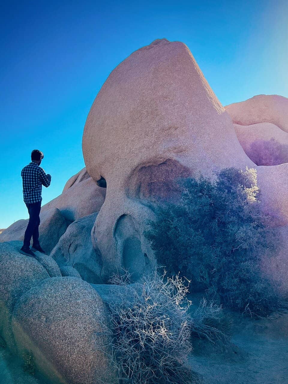 Golden Hour Photography