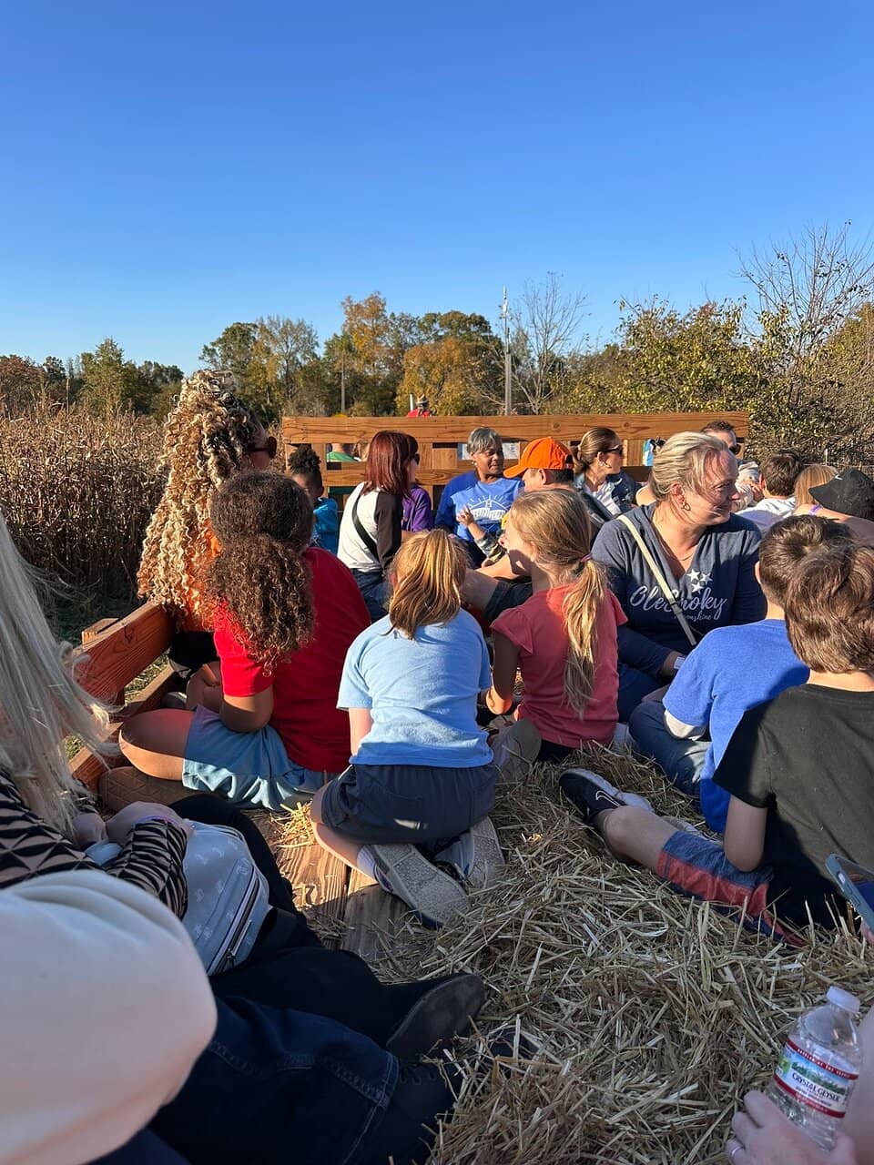 Cornundrum Maze