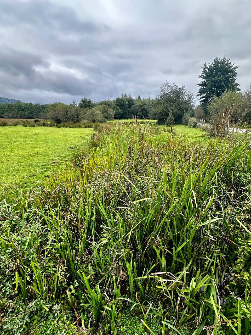 Visitor Center Amenities